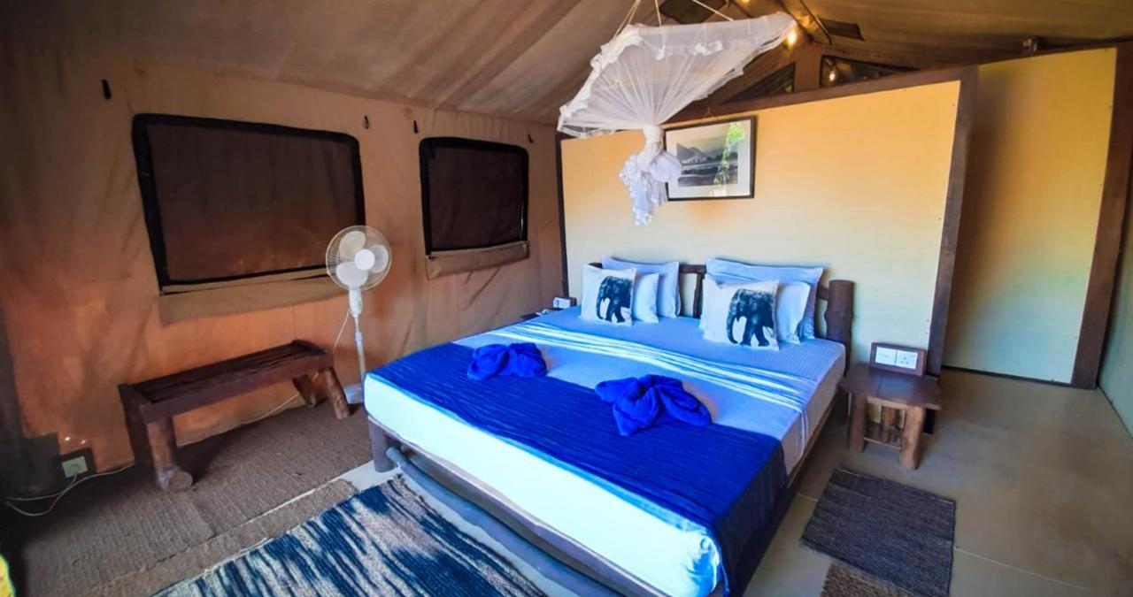 Back Of Beyond Dune Camp Yala Exteriör bild
