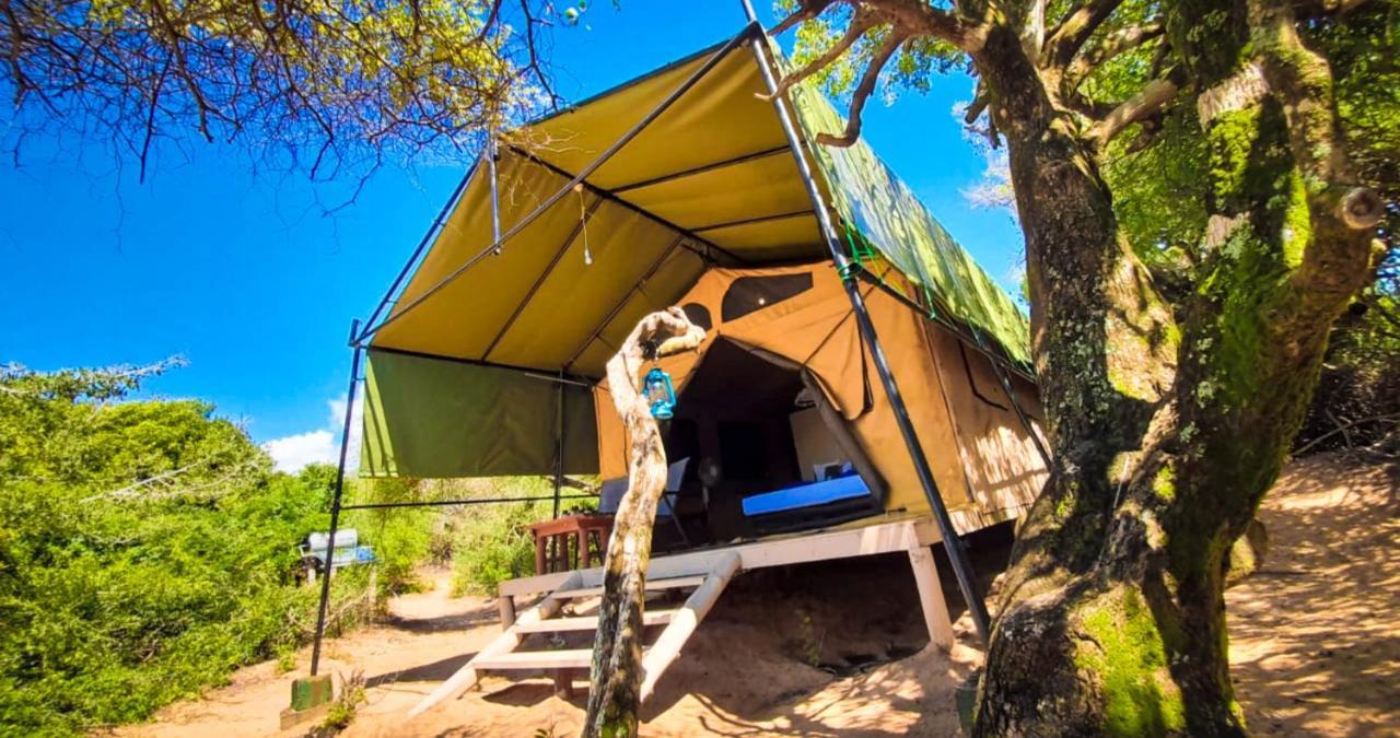 Back Of Beyond Dune Camp Yala Exteriör bild