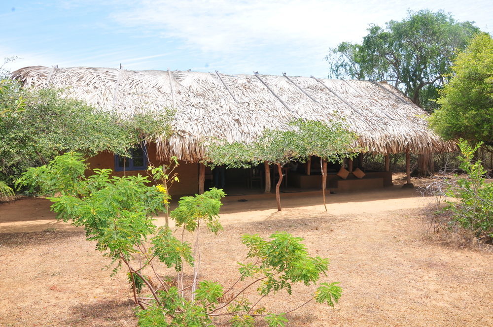 Back Of Beyond Dune Camp Yala Exteriör bild